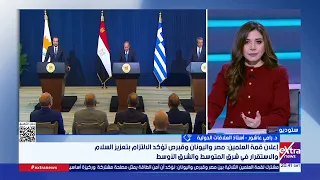 أستاذ علاقات دولية: مصر تسعى لتشكيل تكتل مع قبرص واليونان للحفاظ على الاستقرار شرق المتوسط