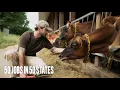 I Tried Dairy Farming 50 Jobs in 50 States