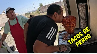 lleve un perro a una taquería (BROMA)