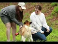 American Akita Puppy Meets His Family for the First Time Apexx Akitas