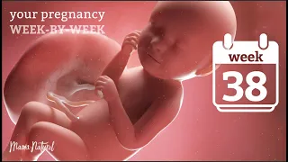 Download 38 Weeks Pregnant - Natural Pregnancy Week-By-Week MP3