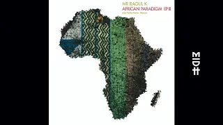 mr raoul k u0026 manoo bara feat ahmed sosso pablo fierro remix 