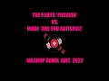 THE FLIRTS (PASSION) VS. MODE (ARE YOU SATISFICE) - MASHUP REMIX EDIT 2022