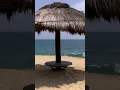 Beach Palapas! #short #palapa