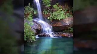 نشيده يارب انك ملك أمر الورى دندنها
