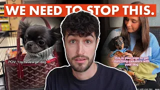 Pet Overconsumption is OUT OF CONTROL