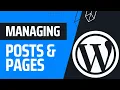 How To Manage Posts Pages In WordPress WordPress Masterclass Part 11