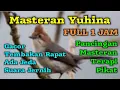 Download Lagu Masteran yuhina gacor tembakan rapat || Yuhina gacor dor