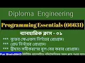 Programming Essentials 66631 Polytechnic online class Diploma Engineering