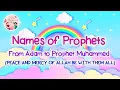 Download Lagu 25 Nama Nabi Dalam Islam | Nasheed oleh Zain Bhikha | 4K