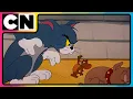 Download Lagu Tom and Jerry 😺🐭| Chaos in the House! 😍| Cartoon for Kids 😆| Cat \u0026 The Mouse | @cnindia