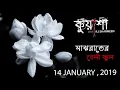 Download Lagu Majhraater Beli Ful | Kuasha | RJ Sharmeen | ABC Radio 89 2 FM