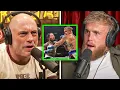 Download Lagu “HE WILL MURD3R YOU!” Joe Rogan CAUTIONS Jake Paul About Gervonta Davis Fight