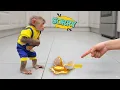 Download Lagu Wow! Moon Learned a Gentle Lesson After Trying to Steal Duck Eggs