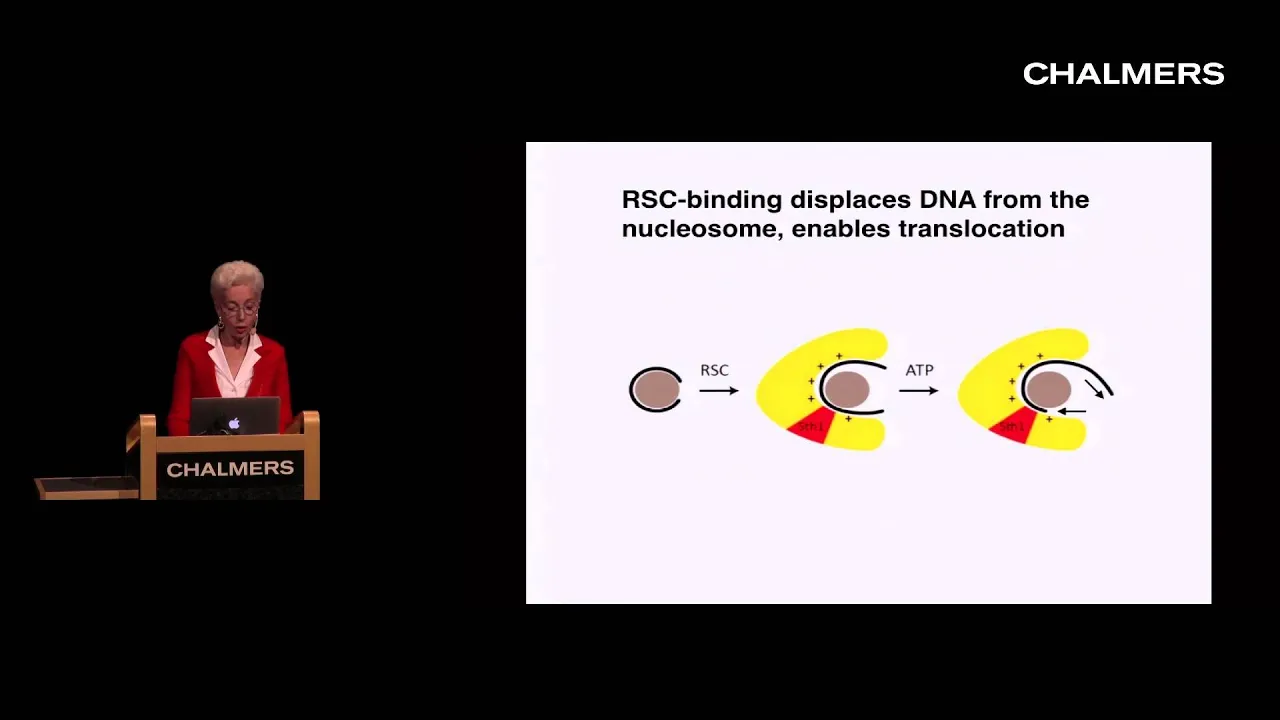 Yahli Lorch: Chromatin remodeling