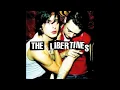 The Libertines - Can't Stand Me Now