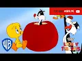 Looney Tuesdays | Iconic Duo: Tweety and Sylvester | Looney Tunes | WB Kids