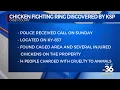 Chicken fighting ring discovered by KSP in Casey County