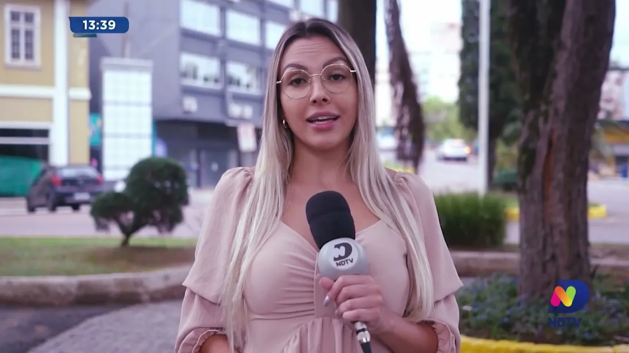 Ataque de abelhas interdita rua no Alto Vale