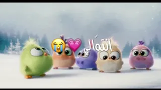 انت الي شيري شيري  انت الي شيري شيري
