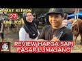 Download Lagu REVIEW SAPI PEDET, BAKALAN JANTAN BETINA. JUM’AT 27 JUNI 2025