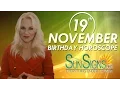 November 19th Zodiac Horoscope Birt ay Personality - Scorpio