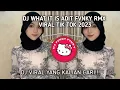 Lagu DJ WHAT IT IS ADIT FVNKY RMX VIRAL TIK TOK