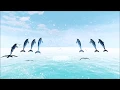Tetris Effect - Dolphin Surf You and I