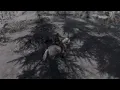 Amelia tames the pale mare
