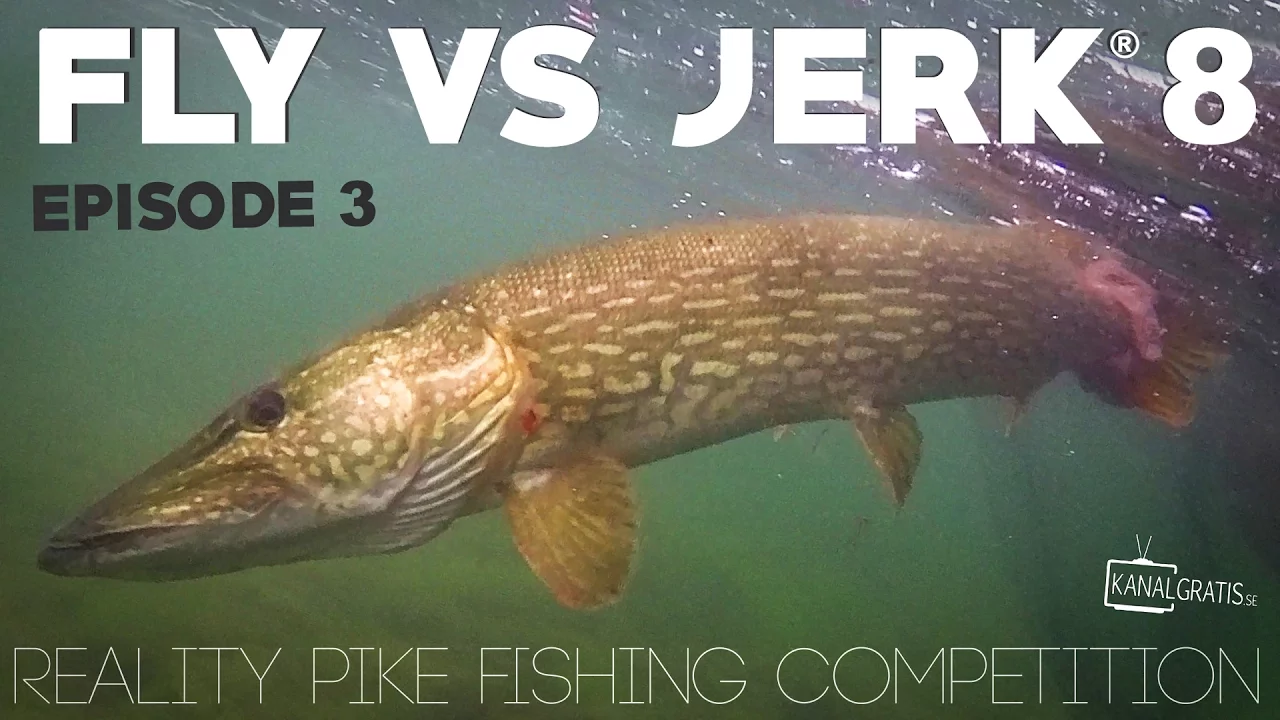 video Fly vs jerk 8