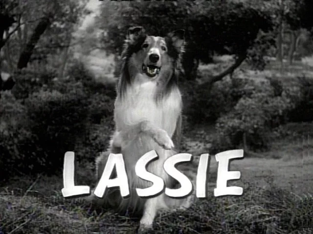 Lassie  1954 - 1973 Opening and Closing Theme (With the Lone Ranger Snippet)
