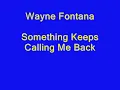 Wayne Fontana - Something Keeps Calling Me Back