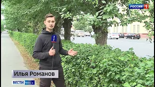 Остановка или зеленая зона — в Омске могут  вырубить часть деревьев. Возможен  ли компромисс?