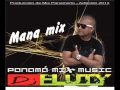 Download Lagu Mana Mix Dj Fluty 2013.