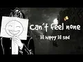 Lagu lil happy lil sad - Can't Feel None (lyrics)