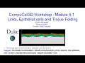 CompuCell3D Workshop 5 1 Invagination and Epithelia in CC3D August 5 2022