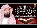 Download Lagu سورة البقرة الشيخ عبد الرحمن السديس القران الكريم مباشر Surat Al-Baqarah Quran Recitation