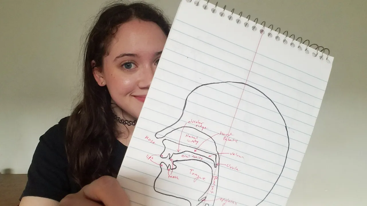 (ASMR) Helping You Study Linguistics - International Phonetic Alphabet Part 1: Consonants