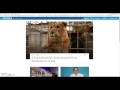 Newsela com Quick Look