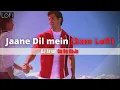 Download Lagu Jaane Dil Mein (3AM Lofi) - DJ Arjun Da Do HoJo | Mujhse Dosti Karoge | Lata Mangeshkar, Sonu Nigam