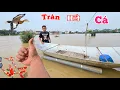 Download Lagu Nước Lụt Lên Nhanh Ngập Hết Vườn Tràn Bể Cá koi...
