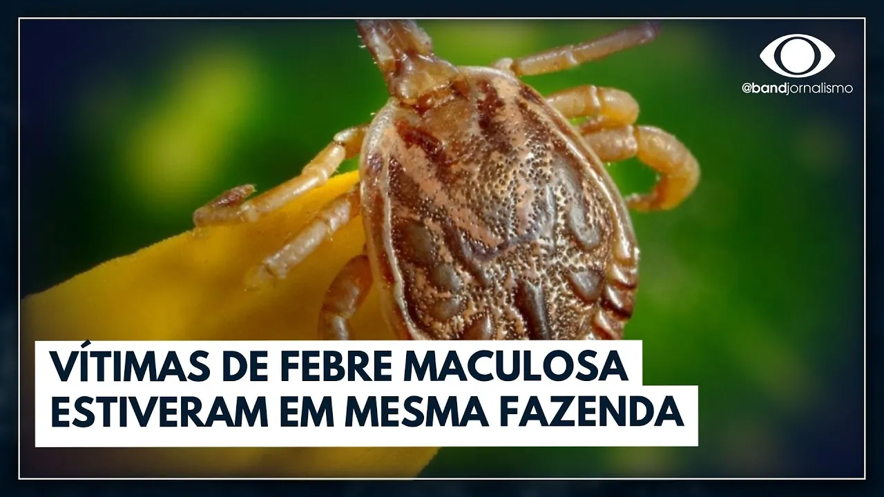 Febre maculosa: 4ª morte investigada em Campinas | Jornal da Band