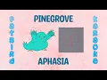 Download Lagu Pinegrove - Aphasia - Fatbird Karaoke