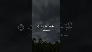 واصبر وما صبرك 