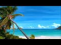Chrono Cross - Dream of the Shore Bordering Another World【Orchestral Cover】