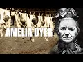 Lagu De huiveringwekkende en mysterieuze historische misdaadzaak van Amelia Dyer | Misdaadverhaal uit ...