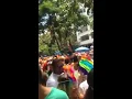 Samba de arere