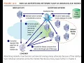 E COMMERCE DIGITAL MARKETS AND DIGITAL GOODS MIS
