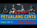 Download Lagu PETUALANG CINTA ELVY SUKAESIH - ( KARAOKE NADA WANITA )@VINOKORG