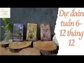 Công việc - Tình yêu - Thời vận 6 - 12 {series tarot tháng 12} |Trải bài tarot -  Tarot bánh quy